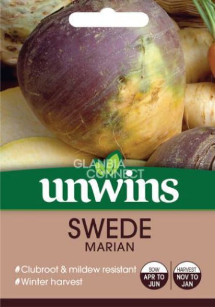 Picture of Unwins Swede Marian Seeds