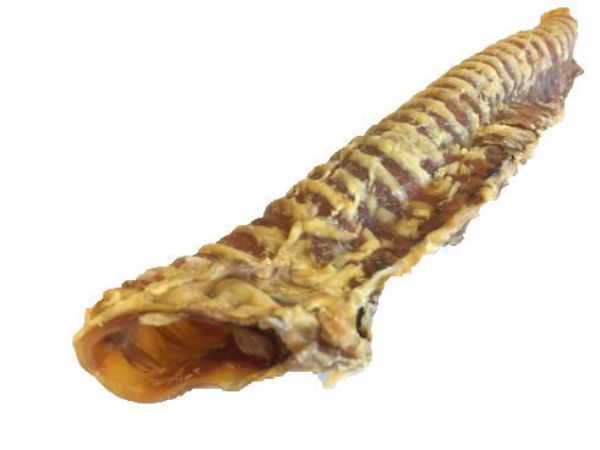 Picture of Riverside Trachea (per piece)