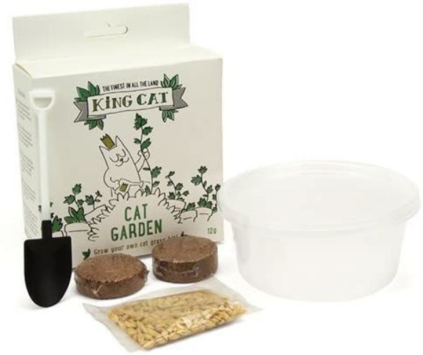 Picture of King Catnip "Grow Your Own" Cat Grass Kit 12g