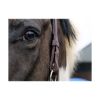 Picture of Equilibrium Stella Safety Head Collar Brown
