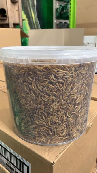 Picture of Rokers Wild Bird Food Tub - Mealworms 1kg