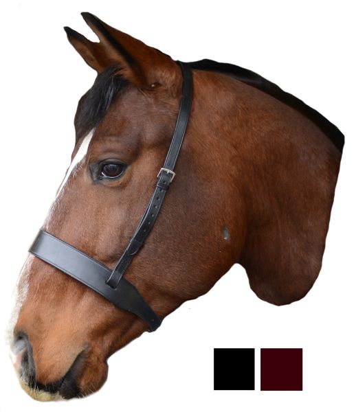 Picture of Mackey Classic Wide Flat Noseband