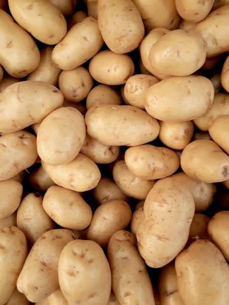 Picture of Washed Potatoes 10kg