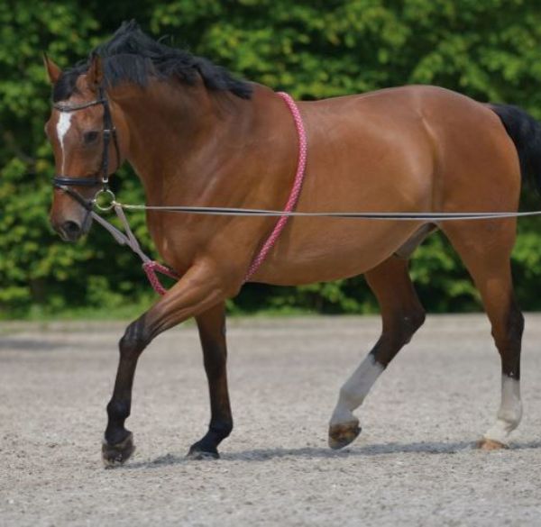 Picture of Waldhausen Longing System Lunging Aid Red/Grey Full