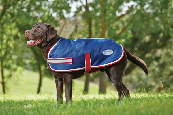 Picture of Weatherbeeta Parka 1200d Dog Coat Navy/Red/White