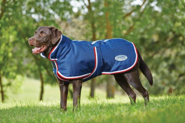 Picture of Weatherbeeta Deluxe Parka 1200D Dog Coat Navy/Red/White