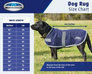 how to measure a dog for a coat uk