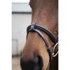 Picture of Eco Rider Classic Comfort Bridle
