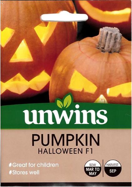 Picture of Unwins Pumpkin Halloween Seeds