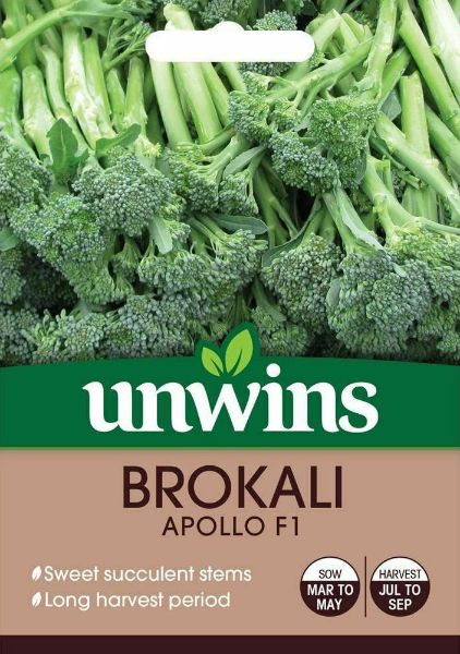 Picture of Unwins Brokali Apollo F1 Seeds