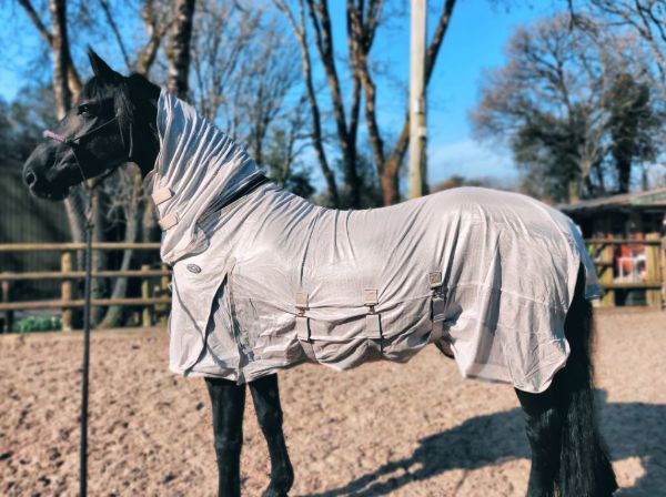 Picture of Legacy Andromeda Fly Rug With Adjustable Belly Oyster Silver