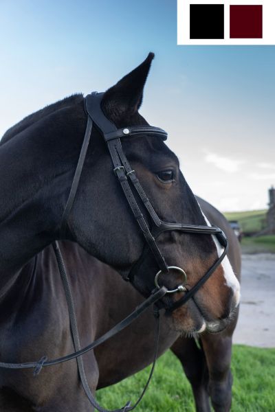 Picture of Cameo Equine Eventair Grackle Bridle