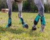 Picture of QHP Eventing Boots Hind Leg Technical Mint Green