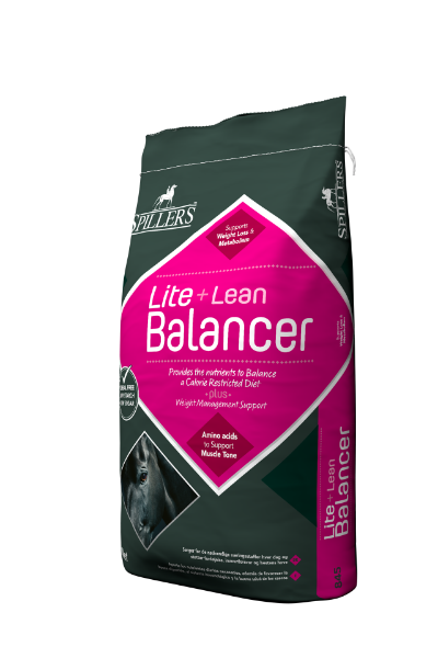 Picture of Spillers Lite + Lean Balancer 20kg