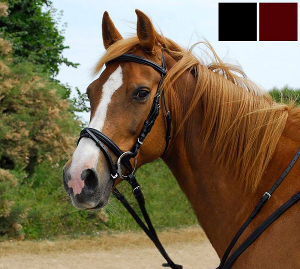 Picture of Windsor Flash Bridle