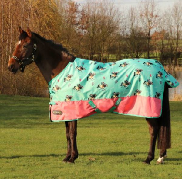 Picture of StormX Original 0g Turnout Rug Thelwell Collection Trophy Mint/Pink/Teal