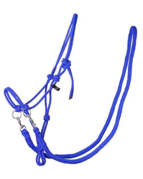Picture of QHP Rope Halter With Reins Cobalt Blue