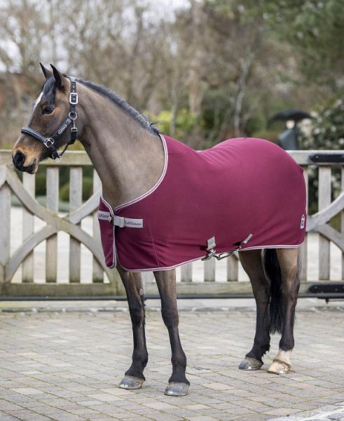 Picture of Le Mieux Arika Jersey -Tek Rug Burgundy