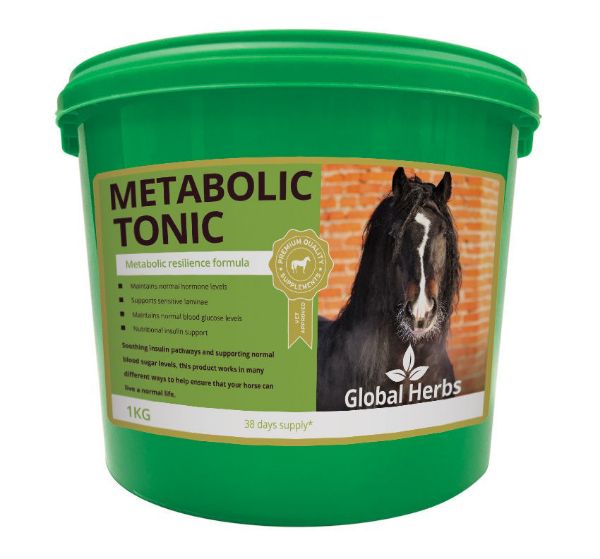 Picture of Global Herbs Metabolic Tonic 1kg