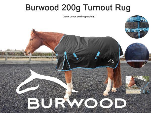Picture of Burwood 200g Turnout Rug Black/Turquoise