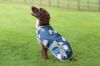 Picture of Weatherbeeta Comfitec Premier Free Parka Dog Coat Racoon Print