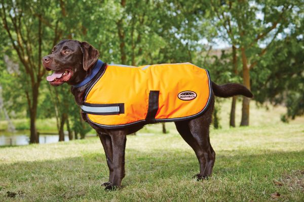 Picture of Weatherbeeta Reflective Parka 300D Dog Coat Orange