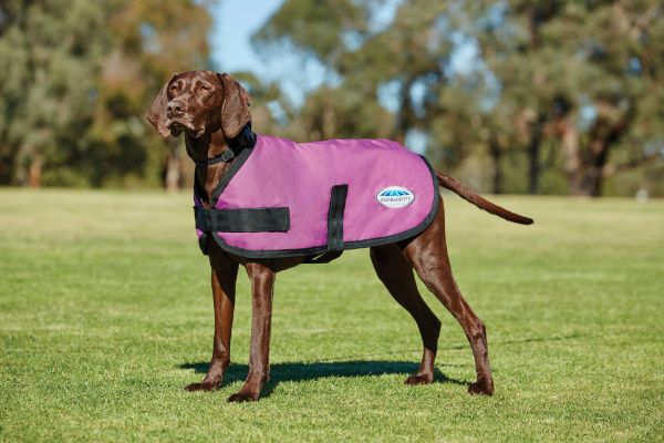 Picture of Weatherbeeta Comfitec Classic Dog Coat Pink