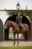 Picture of Le Mieux Waterproof Riding Coat Oak