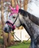 Picture of QHP Ear Net Brilliance Desert Rose Pony