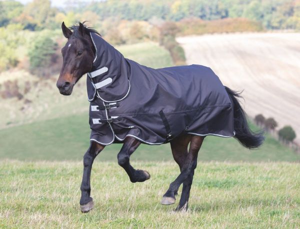 Picture of Shires Tempest Plus 300g Turnout Combo Black