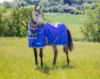 Picture of Shires Tempest Original 50g Combo Turnout Rug Royal