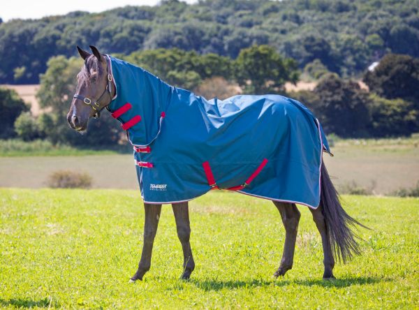 Picture of Shires Tempest Original Lite Combo Turnout Rug Teal