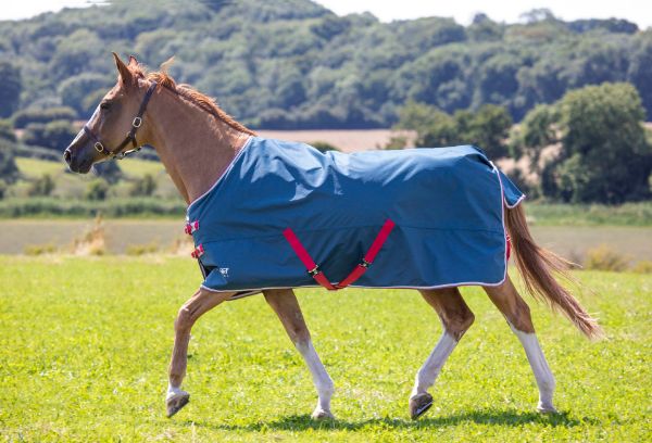 Picture of Shires Tempest Original Lite Turnout Rug Teal