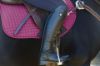 Picture of Weatherbeeta Prime All Purpose Saddle Pad Red Violet Pony