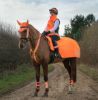 Picture of Hy Equestrian Reflector Martingale Orange One Size