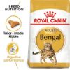 Picture of Royal Canin Cat - Bengal 2kg