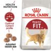 Picture of Royal Canin Cat - Fit 32 400g