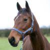 Picture of Hy Equestrian Synergy Head Collar Riviera/Silver