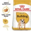 Picture of Royal Canin Dog - Bulldog Adult 12kg