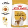 Picture of Royal Canin Dog - Cavalier King Charles Adult 1.5kg