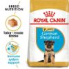 Picture of Royal Canin Dog - German Shepherd Puppy 3kg