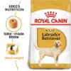 Picture of Royal Canin Dog - Labrador Retriever Adult 12kg