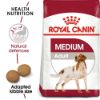 Picture of Royal Canin Dog - Medium Adult 4kg