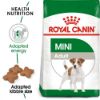Picture of Royal Canin Dog - Mini Adult 8kg