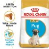 Picture of Royal Canin Dog - Pug Puppy 1.5kg