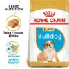 Picture of Royal Canin Dog - Bulldog Puppy 12kg