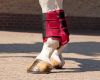Picture of QHP Leg Protection Havana Red