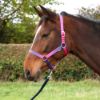 Picture of Hy Equestrian Ombre Head Collar And Lead Rope Pink/Purple/Navy
