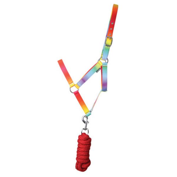 Picture of Hy Equestrian Ombre Head Collar And Lead Rope Rainbow