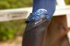 Picture of Ariat Womens Palisade Tall Riding Boot Black/Blue Cobra